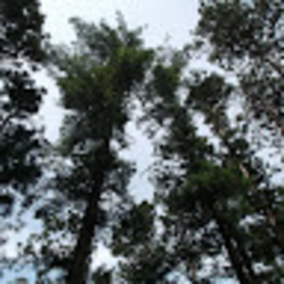 Meet your Posher, Patricia - Picture 2 of 2